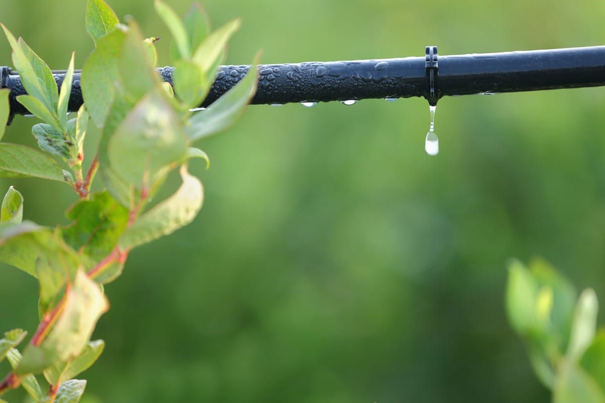 2023 Drip Irrigation System Cost — Drip Line Install Prices