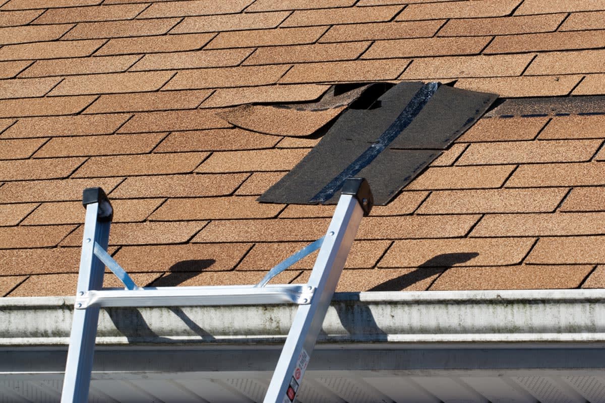 Roofer