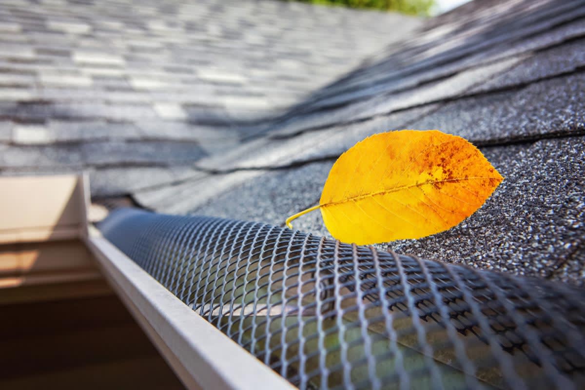 How Much Do Leaf Filters or Gutter Guards Cost to Install?