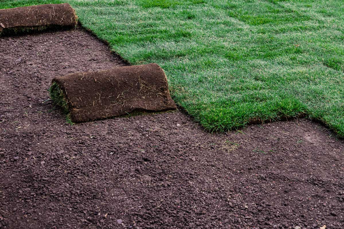 How much does sod installation cost?