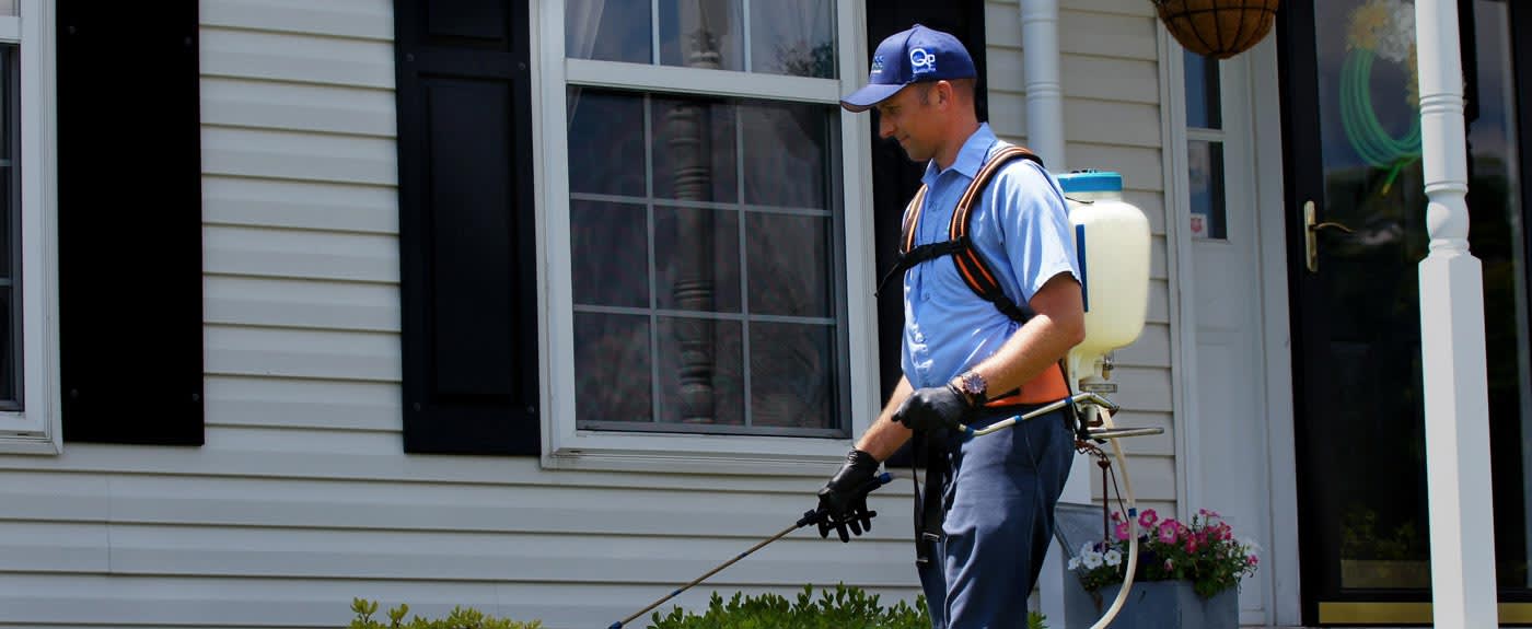 2023 Exterminator Costs Average Pest Control Prices // HomeGuide