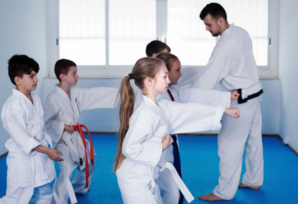 How much do karate lessons cost?