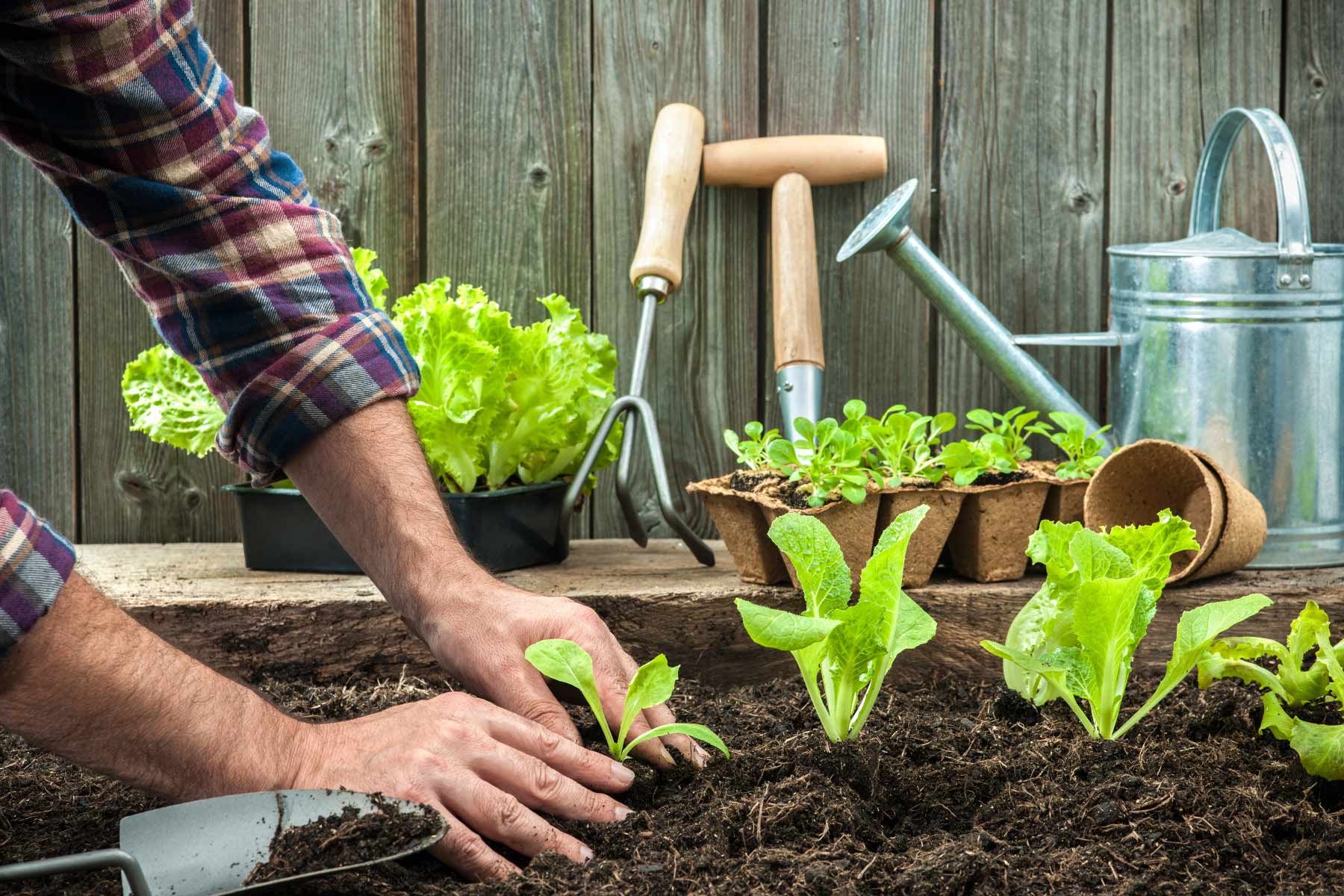 Garden Mowing