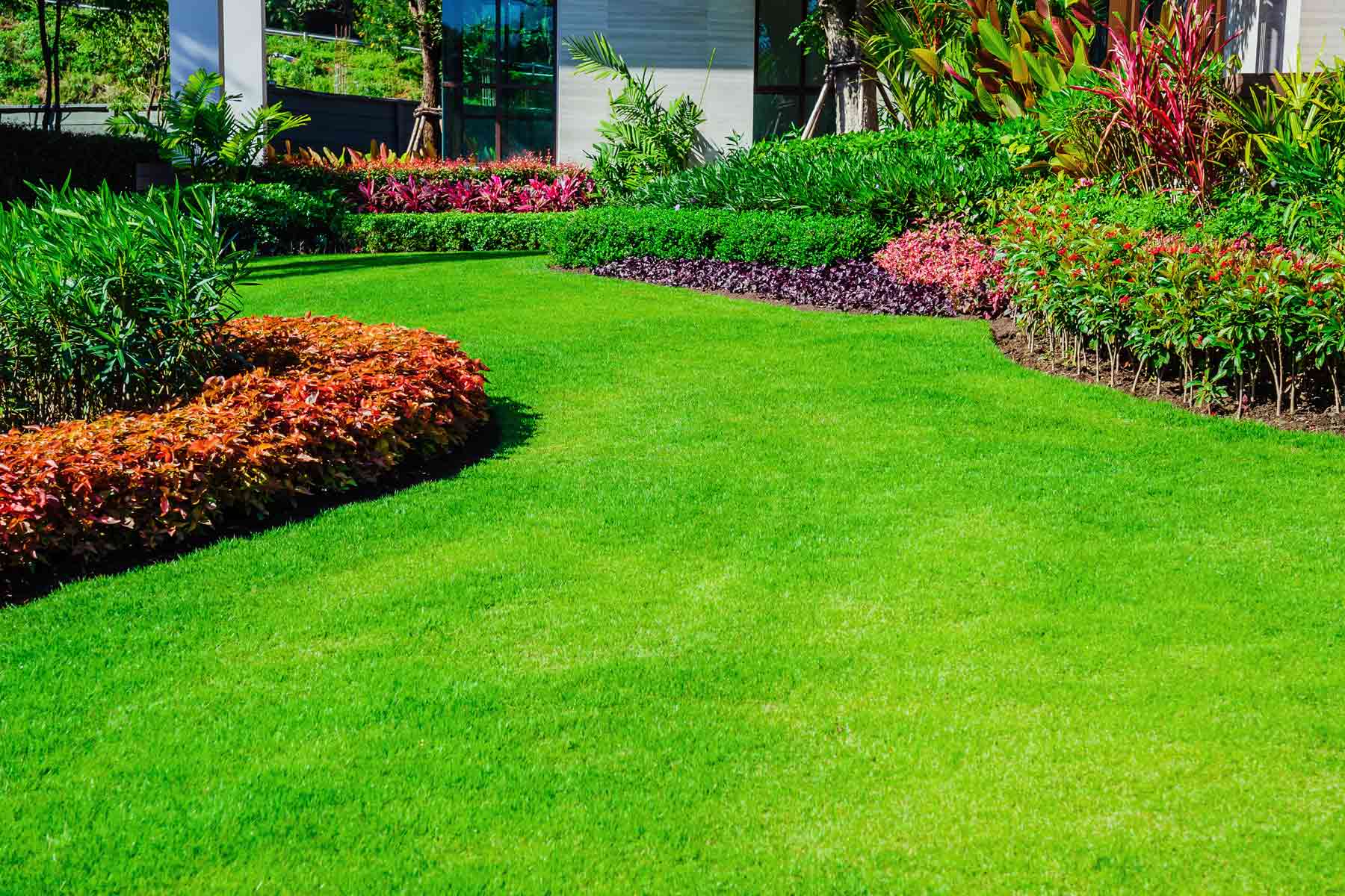 How much does Lawn Doctor cost?