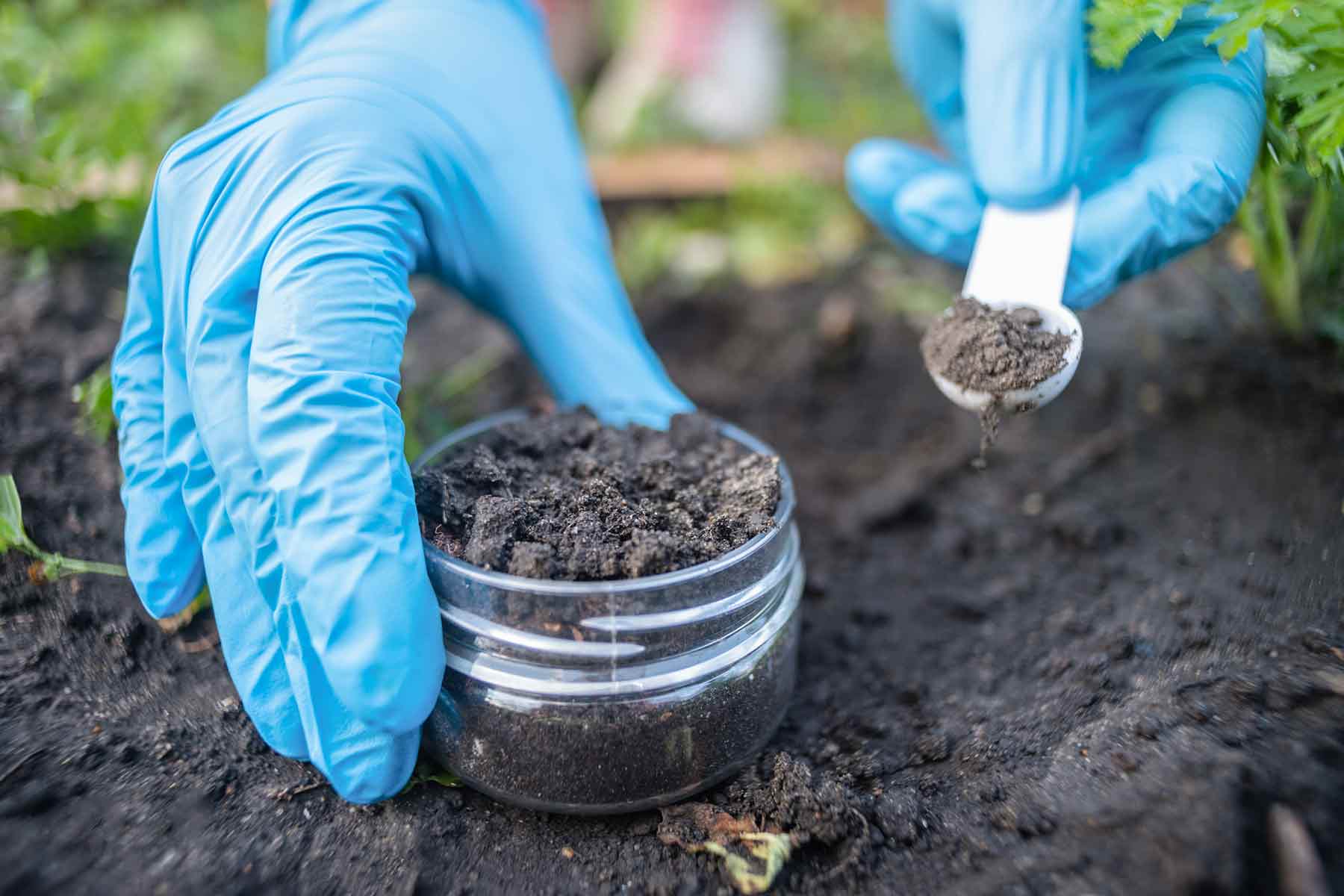 How much does a soil test cost?