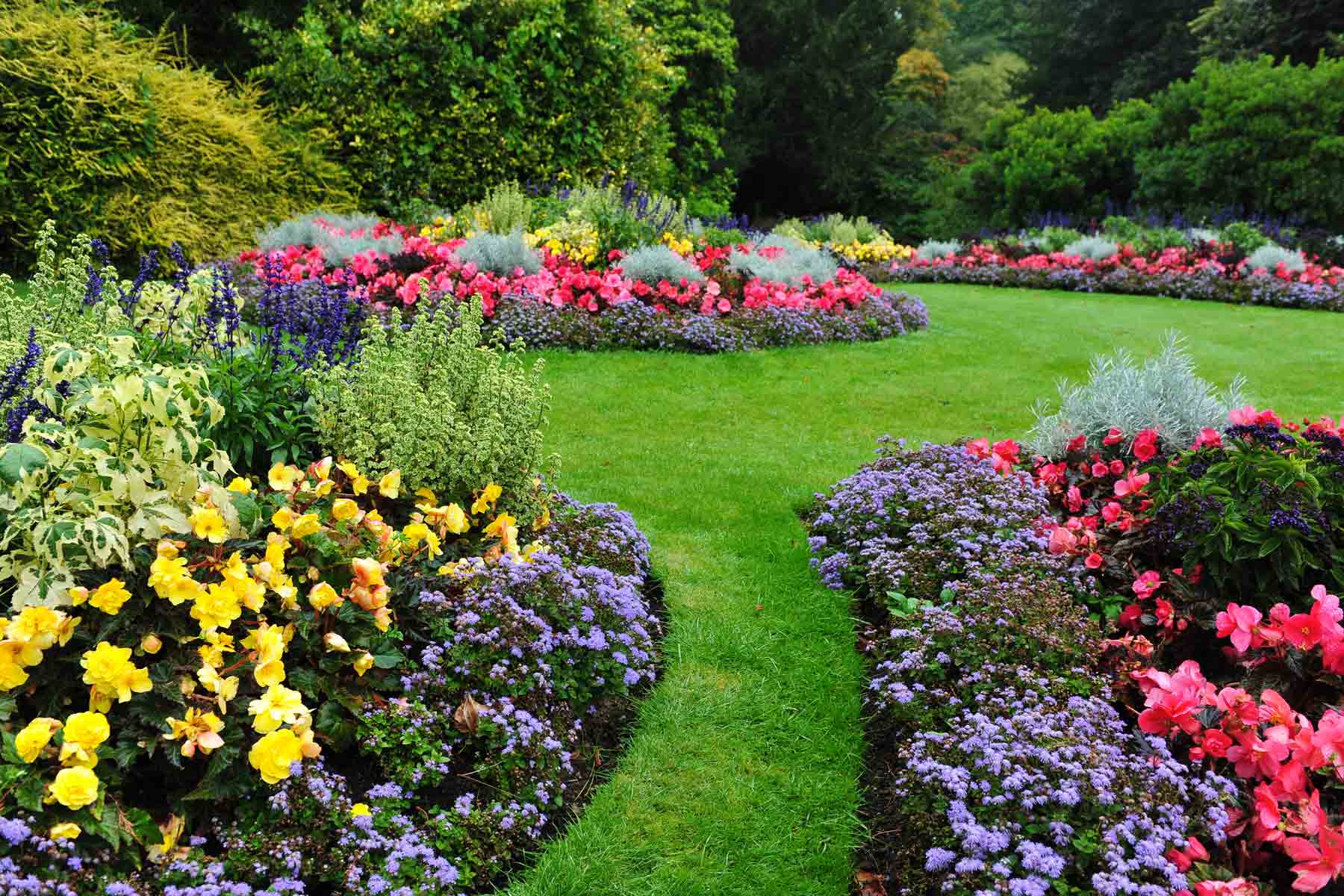 How much do landscapers charge to plant shrubs, flowers, and bushes?