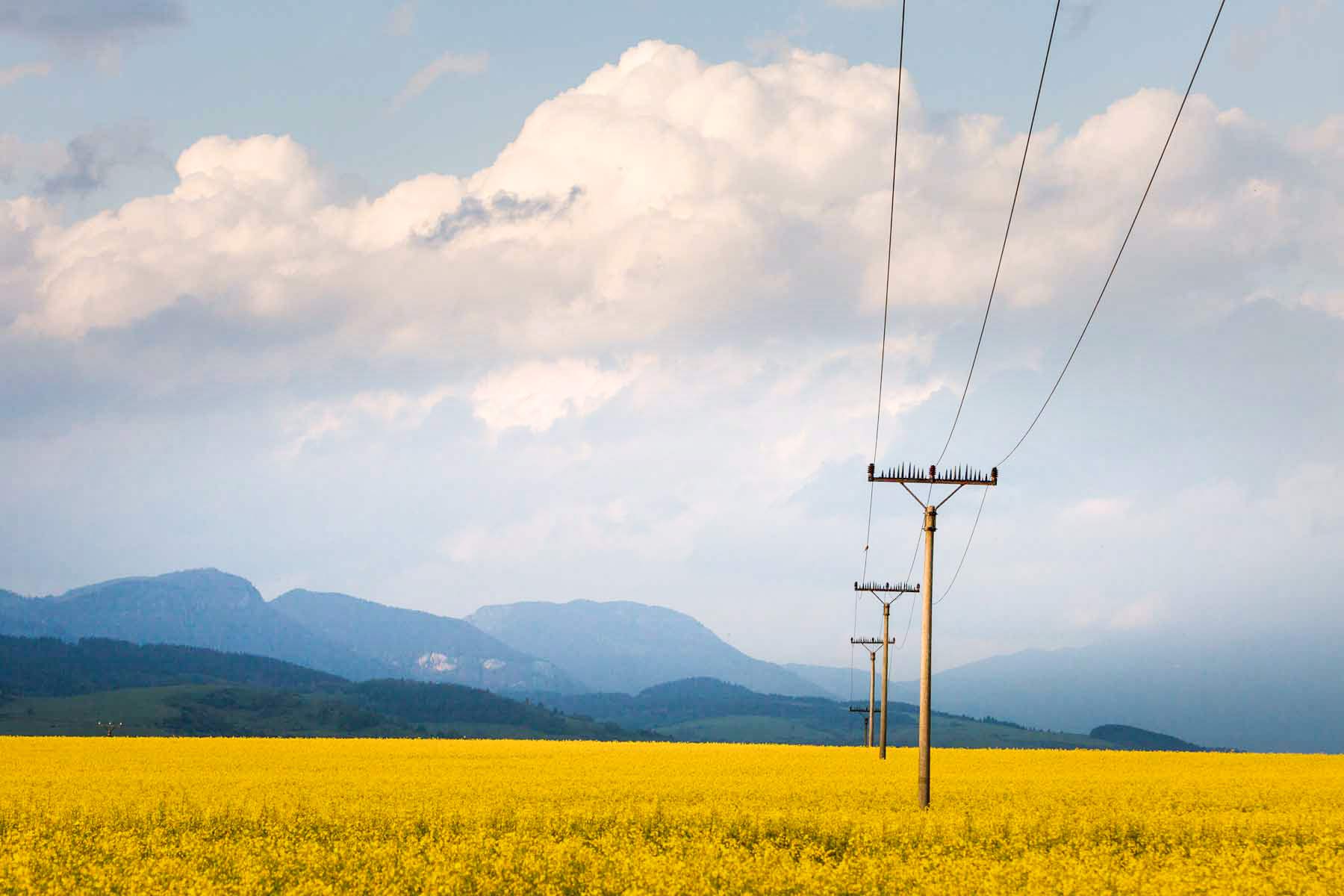 How much does a telephone pole cost?