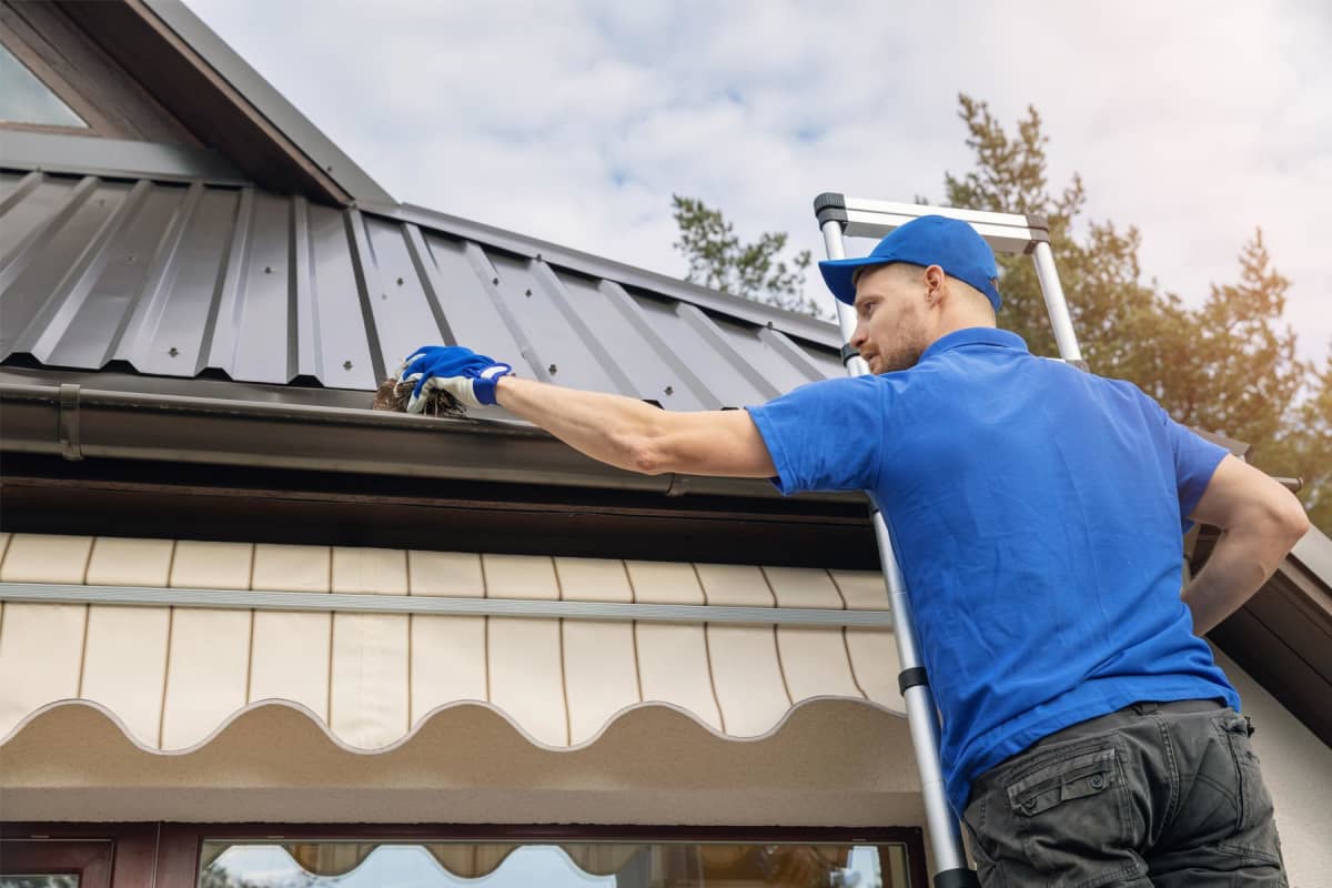 How much does gutter cleaning cost?