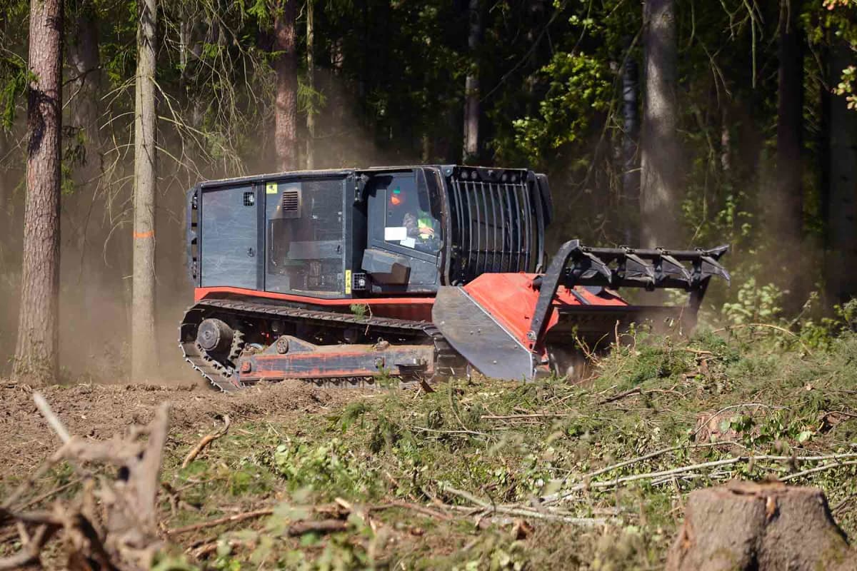 How much does forestry mulching cost?