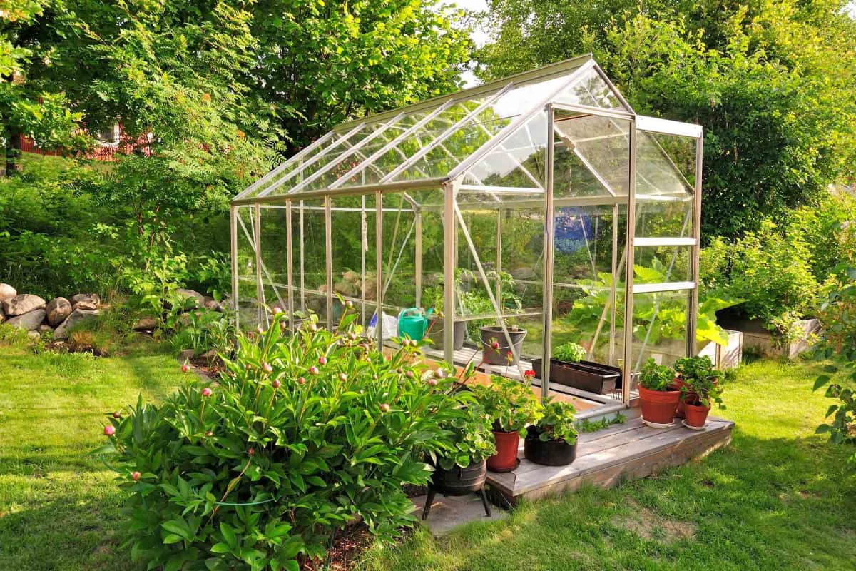 How much does a greenhouse cost?