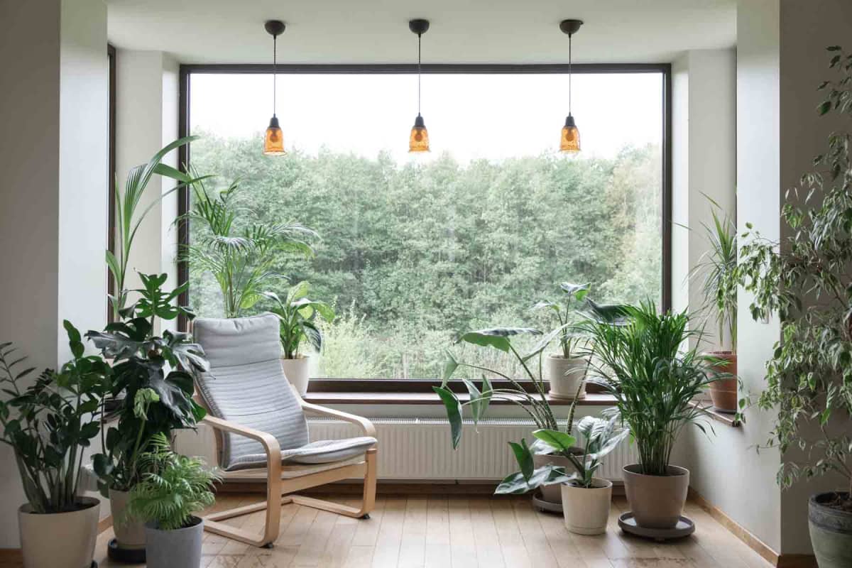 How much does a picture window cost to install or replace?