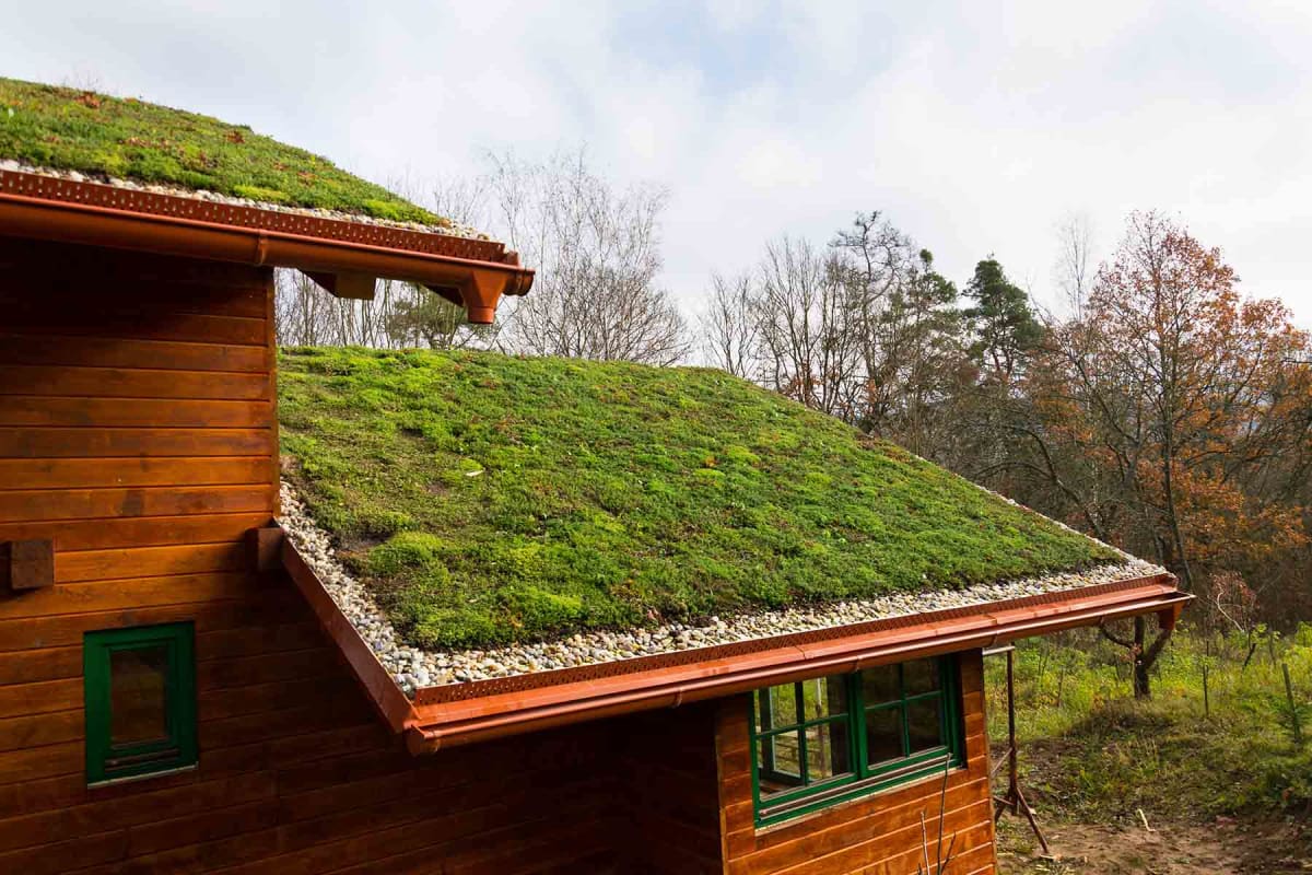 How much does a green roof cost?