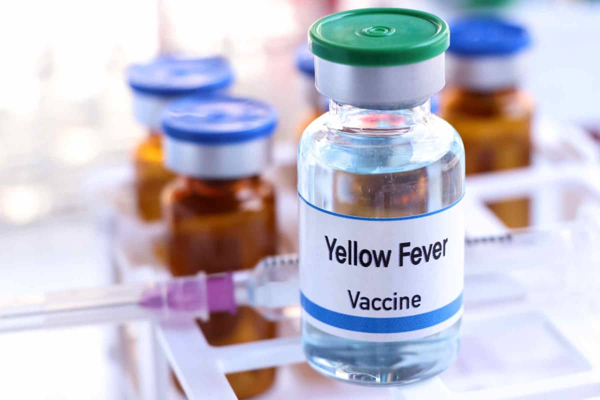 How much does the yellow fever vaccine cost?