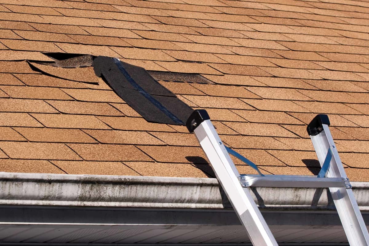 How much does asphalt roof shingle repair cost?