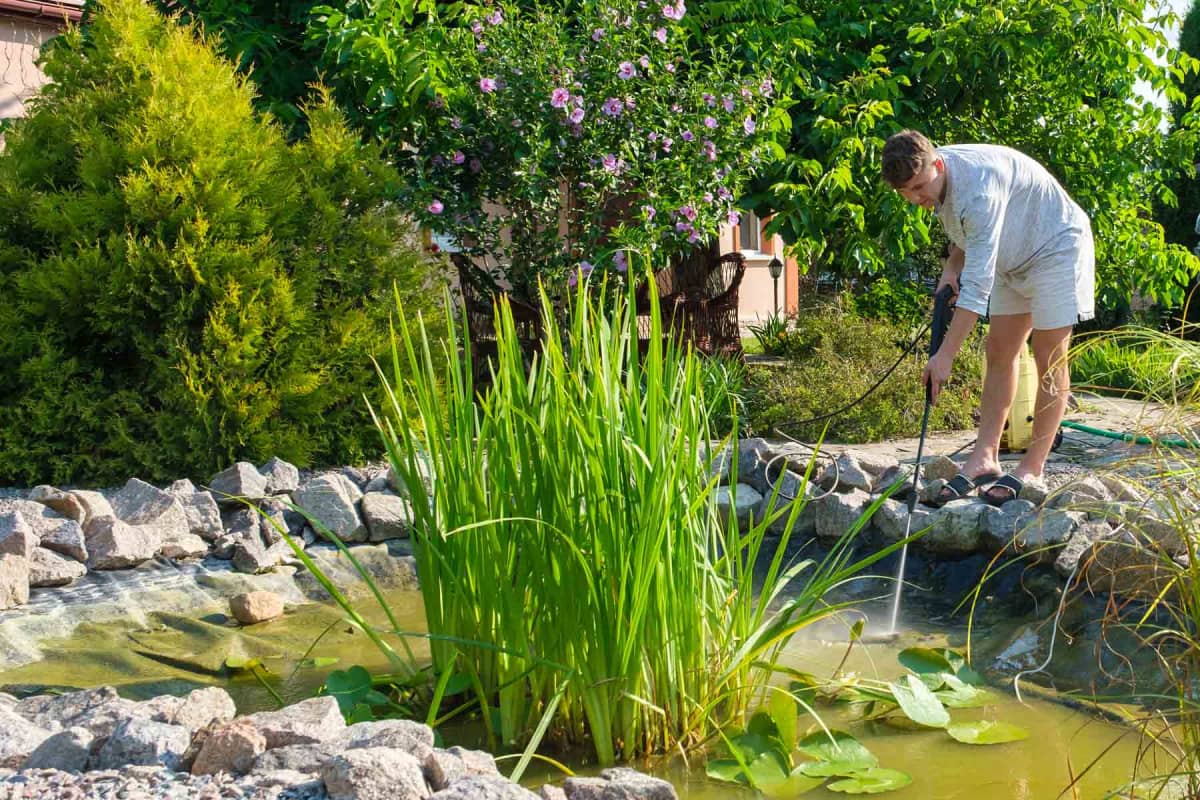 How much does pond cleaning and maintenance cost?
