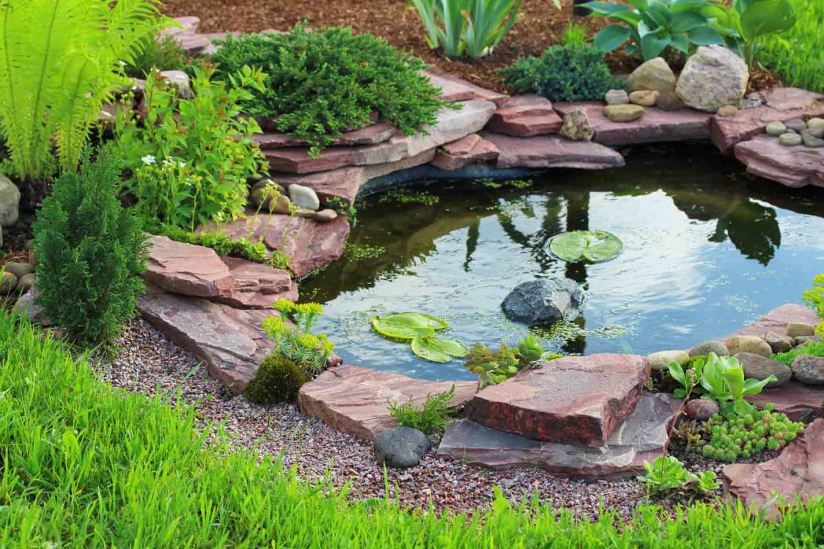 How much does a pond liner cost?