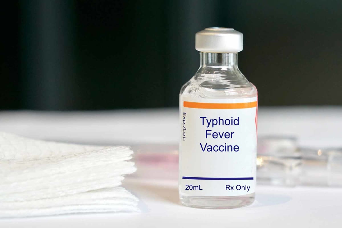 How much does a typhoid vaccine cost?