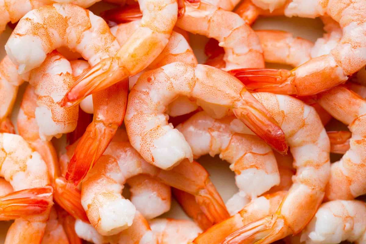 Can dogs eat shrimp?