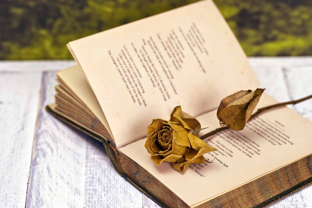 The Most Famous Love Poems Ever Written