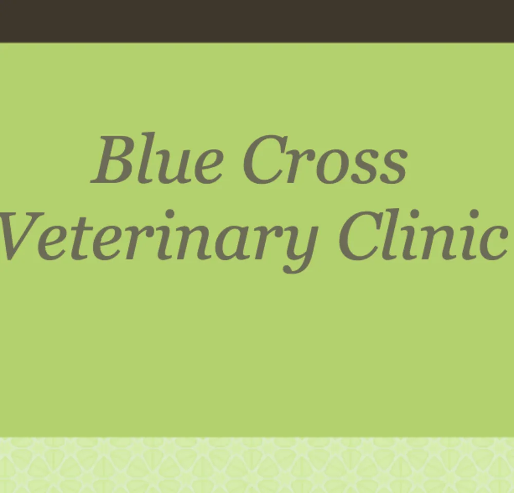 Blue Cross Veterinary Clinic