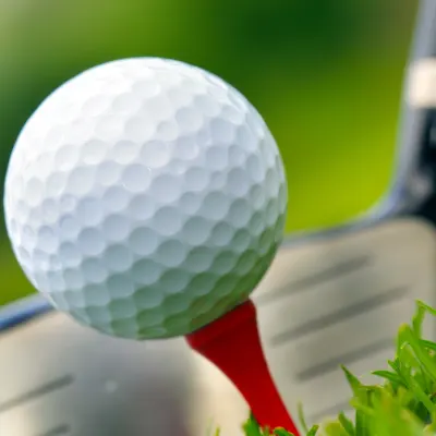 Rick Krebs Golf