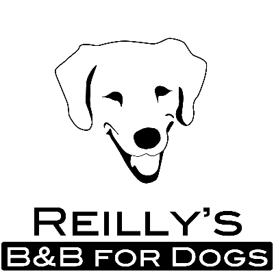 Reilly's B&B For Dogs