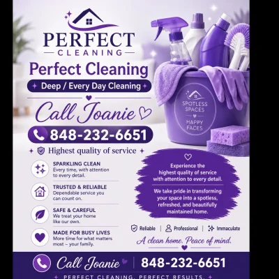 Perfect Cleaning
