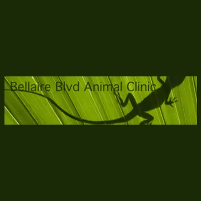 Bellaire Blvd Animal Clinic