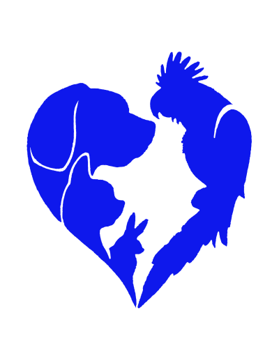 All Pets Veterinary Hospital