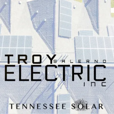 TROY SALERNO ELECTRIC INC.