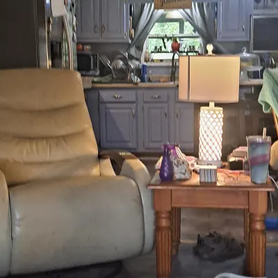 Domestic 