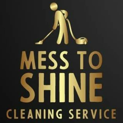 MESS TO SHINE LLC