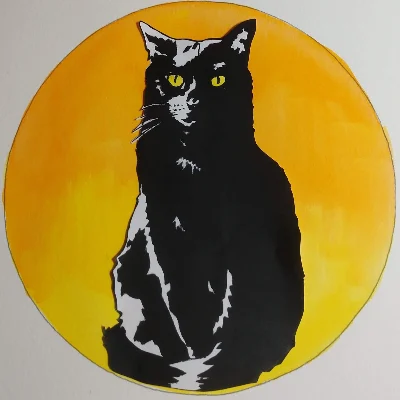 Witchcat Electric LLC