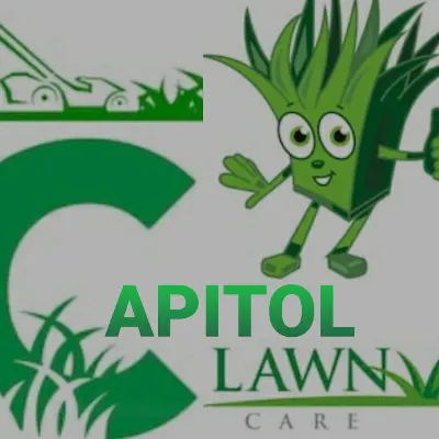 Capitol Lawn Service