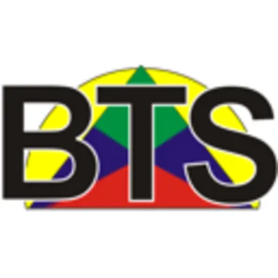 BTS Electric Service