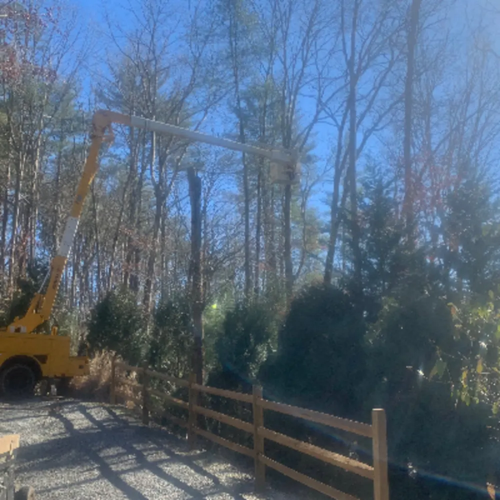 Tri State Property Maintenance