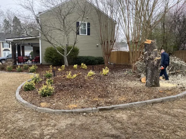 Tree removal