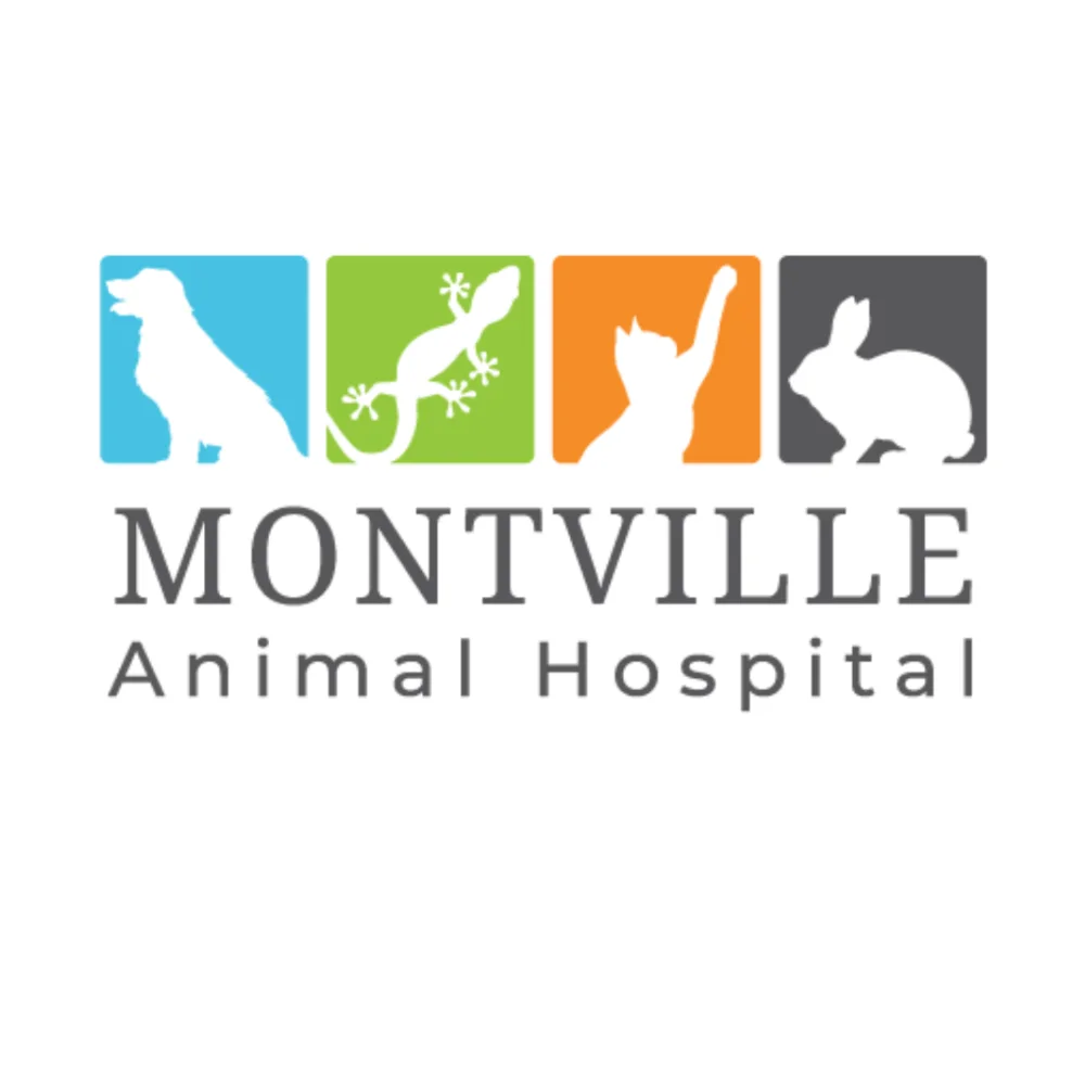 Montville Animal Hospital