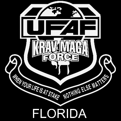 AMERICAN MARTIAL ARTS / KRAV MAGA FORCE FLORIDA