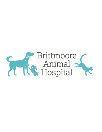 Brittmoore Animal Hospital
