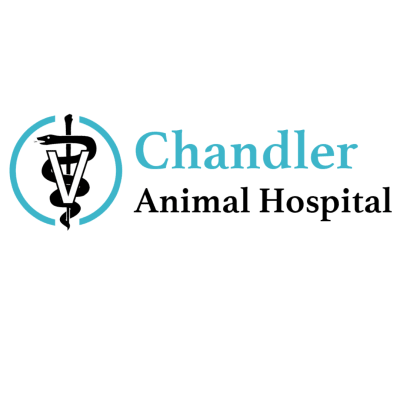 Chandler Animal Hospital