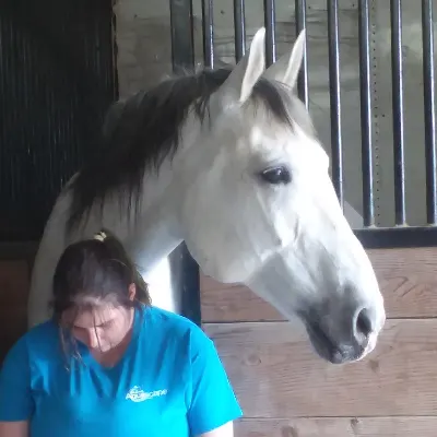 Acorn Valley Riding