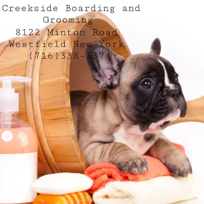 Creekside Boarding And Grooming