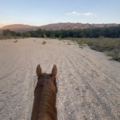 Desert Oasis Horseback Riding 