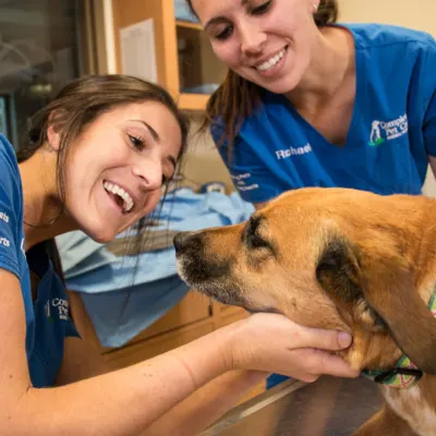 Complete Pet Care Animal Hospital