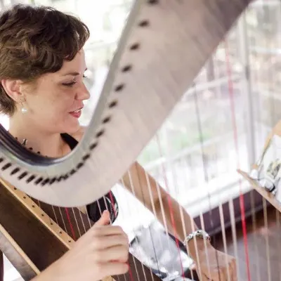 Great Lake Harp Lessons