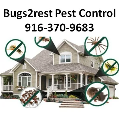 Bugs2rest Pest Control