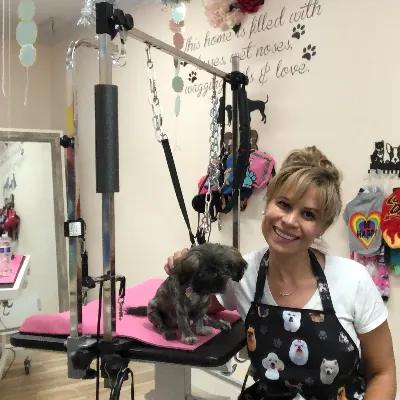Groovy Groomers