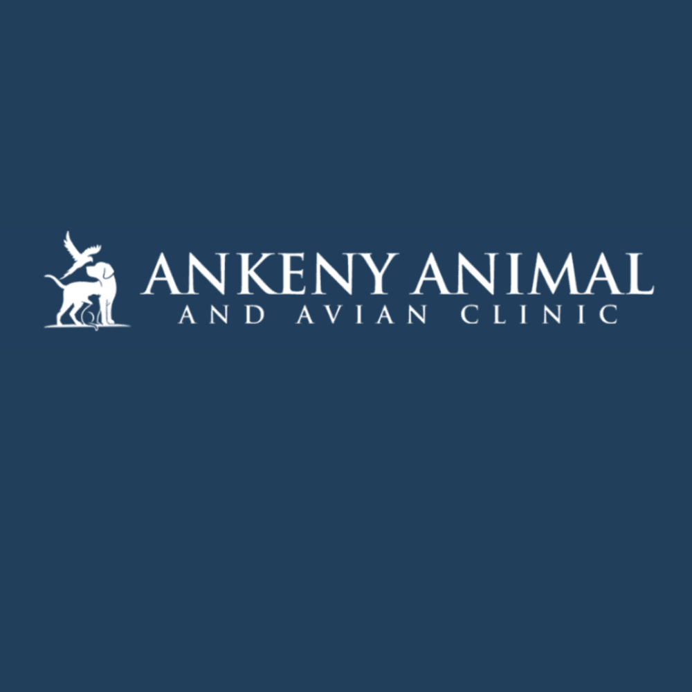 Ankeny Animal & Avian Clinic