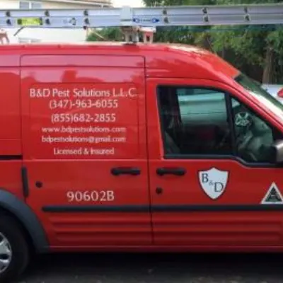 B & D PEST SOLUTIONS